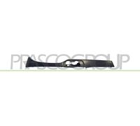 PRASCO BM0222113 Cornice, Faro principale