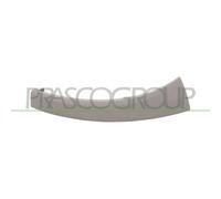 PRASCO FT9302104 Cornice, Faro principale