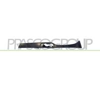 PRASCO BM0222114 Cornice, Faro principale