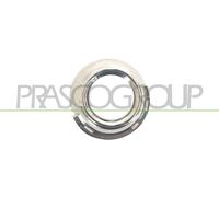 Cornice, Fendinebbia bilaterale per PEUGEOT 307