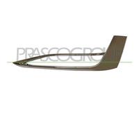 Cornice Fendinebbia Destra Cromata Per BMW 5 SERIES - G30/G31 2016-2020 DESTRO