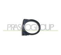 Cornice Fendinebbia Destra Nera Per Bmw 3 Series - E46 M-tech 2001-2005 Destro