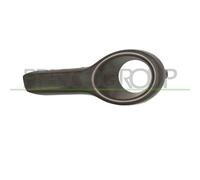 PRASCO OP3051249 Cornice, Fendinebbia