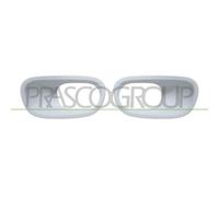 Cornice Fendinebbia Prasco CI3281230 per Citroën