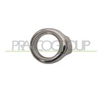 Cornice Fendinebbia Sinistra Cromata FORD ECOSPORT 2013/2017 LATO SX 1818091