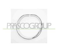 Cornice Fendinebbia Sinistra Cromata Mini Mini (bmw) Countryman (f60) 2017-2020