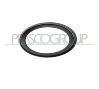 Cornice Fendinebbia Sinistra Per Mercedes E Class (w211/s211) 2007-2009 Sinistro