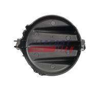 Cornice, Fendinebbia Sx per CITROËN FIAT PEUGEOT EXPERT EXPERT TEPEE JUMPY SCUDO