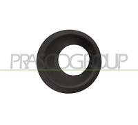 CORNICE FENDINEBBIA SINISTRO per LAND ROVER RANGE ROVER SPORT I