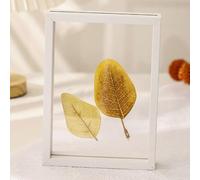 Cornice for foto, cornice for trasparente bifacciale con foglie secche esemplare multicolore desktop di dimensioni multiple(White,A4)