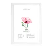 Cornice foto legno Bianca per stampe pergamene diplomi poster quadri moderni