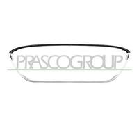 Modanatura Decorativa / Protettiva Griglia Radiatore Prasco FD3442305 per Ford