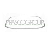 Cornice Griglia Centrale Cromata Per Ford Fiesta Mk Vi Dal 2008 Al 2012 1538490