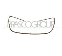 PRASCO Griglia radiatore PG5302305