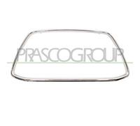 PRASCO MB7182305 Telaio, Griglia radiatore