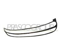 PRASCO VG4202305 Telaio, Griglia radiatore