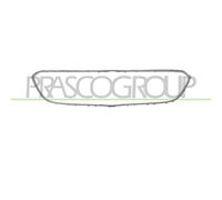 PRASCO OP0642305 Telaio, Griglia radiatore