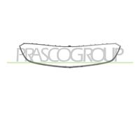 PRASCO OP0652305 Telaio, Griglia radiatore