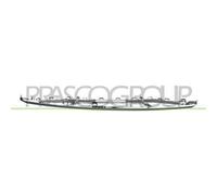 Cornice Griglia Radiatore Cromata Per Seat Leon Dal 2020 St4302305 5fa8546432zz