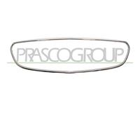 BLIC 6502-07-3529991P Telaio, Griglia radiatore