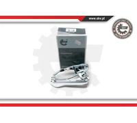 Cornice maniglia portiera 96SKV022 ESEN SKV per BMW X5