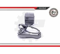 Cornice maniglia portiera 96SKV159 ESEN SKV per BMW X5