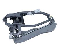 MaXgear Telaio maniglia portiera 28-0473 anteriore sinistra per BMW X5