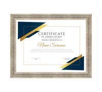 Cornice per attestati, pergamene, diplomi ROVESCIA BAROCCO ARGENTO