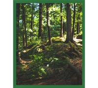 Cornice per foto 10 colori e 9 dimensioni (da 10x15 a 50x70cm) tra cui scegliere