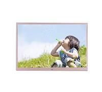Cornice per foto digitale in lega di alluminio da 17 pollici, lettore di pubblicità video, struttura in metallo, con porta HDMI, funzionamento con telecomando Regalo decorativo