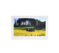 Cornice per foto digitali IPS a piena vista da 11,6 pollici Schermo ad alta definizione 1920 * 1080, interruttore timer, funzionamento con telecomando a infrarossi Cornice digitale