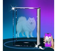 Cornice per foto in cristallo personalizzata, regalo personalizzato con la tua foto, ricordo personalizzato per animali domestici, immagine 3D personalizzata in regali commemorativi per membri della