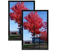 Cornice per foto Medog 85x11 nera, cornice per diploma 85x11, set di 2 cornici per documenti e certificati da 85x11 pollici senza passepartout pe