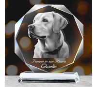 Cornice Personalizzata con Foto del Cane, Regali Commemorativi per la Perdita del Cane, Regalo Commemorativo con Foto in Cristallo, Regalo di Condoglianze per la Scomparsa di un Animale Domestico