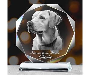 Cornice Personalizzata con Foto del Cane, Regali Commemorativi per la Perdita del Cane, Regalo Commemorativo con Foto in Cristallo, Regalo di Condoglianze per la Scomparsa di un Animale Domestico