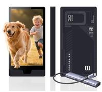 Cornice portafoto 3D spaziale per famiglia/animale domestico, decorazione per la casa, schermo da 14 cm, senza occhiali, immagine 2D con un clic su monitor olografico 3D, regalo per celebrità/anime