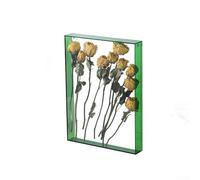 Cornice portafoto decorativa in acrilico con sezione cava, progettata per esporre fiori e conchiglie fai da te, migliora l'atmosfera e l'interesse visivo nelle stanze (verde)