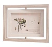 Cornice portafoto girevole, 15,2 cm e 17,8 cm, in legno, double-face, per esposizione orizzontale e verticale, funzione girevole a 360°, decorazione moderna e minimalista per la casa (B)