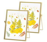 Cornice Portafoto in Vetro per Fiori Pressati: PRITOK 2 Pezzi Cornice per Foto in Piedi in Vetro, Cornice per Foto Vintage per Fiori Pressati, Espositore per Quadri con Fiori Secchi 15 x 20 cm