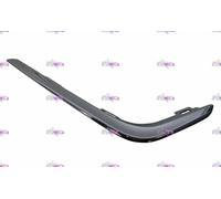 CORNICE PROFILO SX CROMATO GRIGLIA PARAURTI ANTERIORE PEUGEOT 107 2012-2013