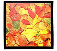 Cornice quadrata per poster, 33 x 33 cm, nera, ampia modanatura come cornice da parete e da tavolo, per dimensioni senza passepartout 33 x 33 cm (con tappetino, non incluso), 31,8 x 31,8 cm, 30,5 cm,