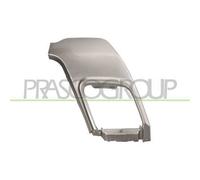 Cornice Tubo Scarico Posteriore Dx LAND ROVER RANGE ROVER EVOQUE (L538) 11/15 DX