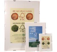 19377 Q.TA'. 6 CORNICE P/QUADRI DAY A GIORNO 70X100 CM CRILEX