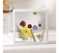 Cornici for foto in stirene Cornice for galleggiante A4 Poster fronte-retro e pressa for fiori Multicolor, dimensioni multiple(White,Square 6 Inches [14.3 * 14.3cm])