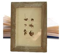 Cornici Vintage - Cornici Antiche | Piano D'appoggio In Materiale Resistente E Montaggio A PareteAmpiamente Usato: Mostra Senza Sforzo Decorazioni Fotografiche Di Dimensioni Standard 3x5 Pollici Per M