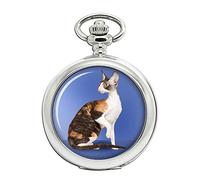 Cornish Rex Cat Full Hunter Orologio da tasca