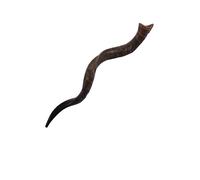Corno antilope yemenita Shofar Kudu dimensioni tra 40-44" tutto naturale + sp...
