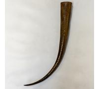Corno Da Bere Viking Murrah Buffalo Pagan Medievale Gioco Dei Troni Birra.