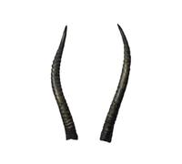Corno da Lira Antilope ca. 29cm - Corna artistiche naturali di Motes Masken, fatte a mano, robuste e leggere - Ideali per Krampus, Perchten, feste a tema e decorazioni (Corno da Lira Antilope Grande)
