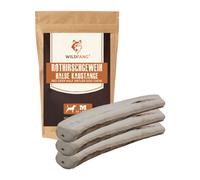 Corno da masticare di cervo rosso - mezzo bastoncino da masticazione -